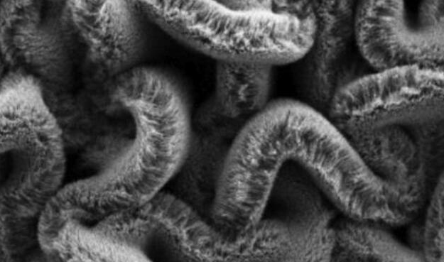 行业新闻：可拉伸的超等电容器，，，，为柔性可衣着装备铺路